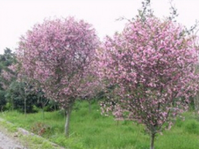 產(chǎn)品設(shè)備